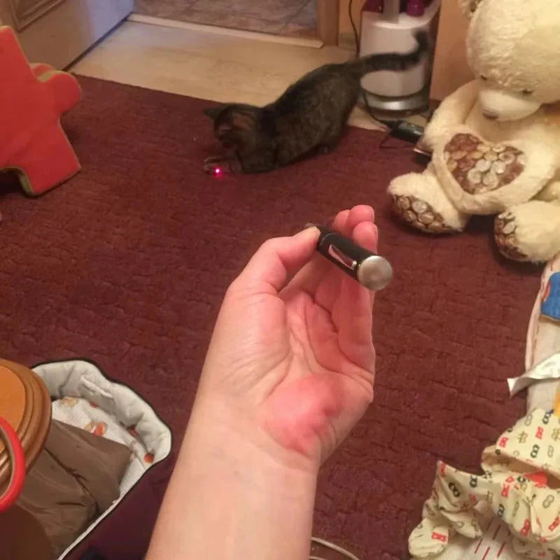 Pet Toys Pet Laser Pointer & LED Flashlight - Interactive Cat Scratching Toy, Christmas Gift for Cats/Kittens